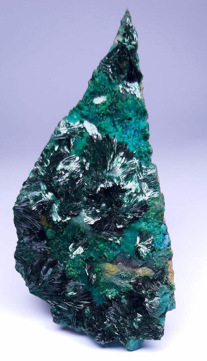 Atacamite & Halloysite & Chrysocolla