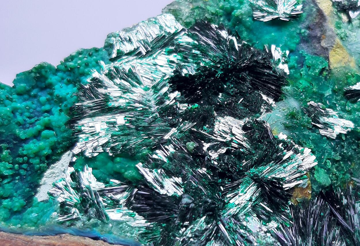 Atacamite & Halloysite & Chrysocolla