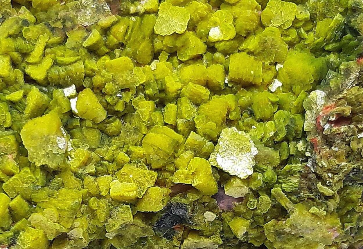 Autunite