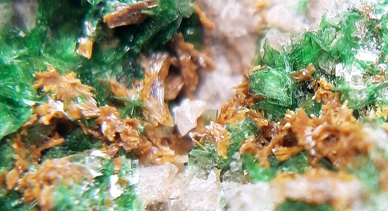 Parsonsite Metatorbernite & Autunite