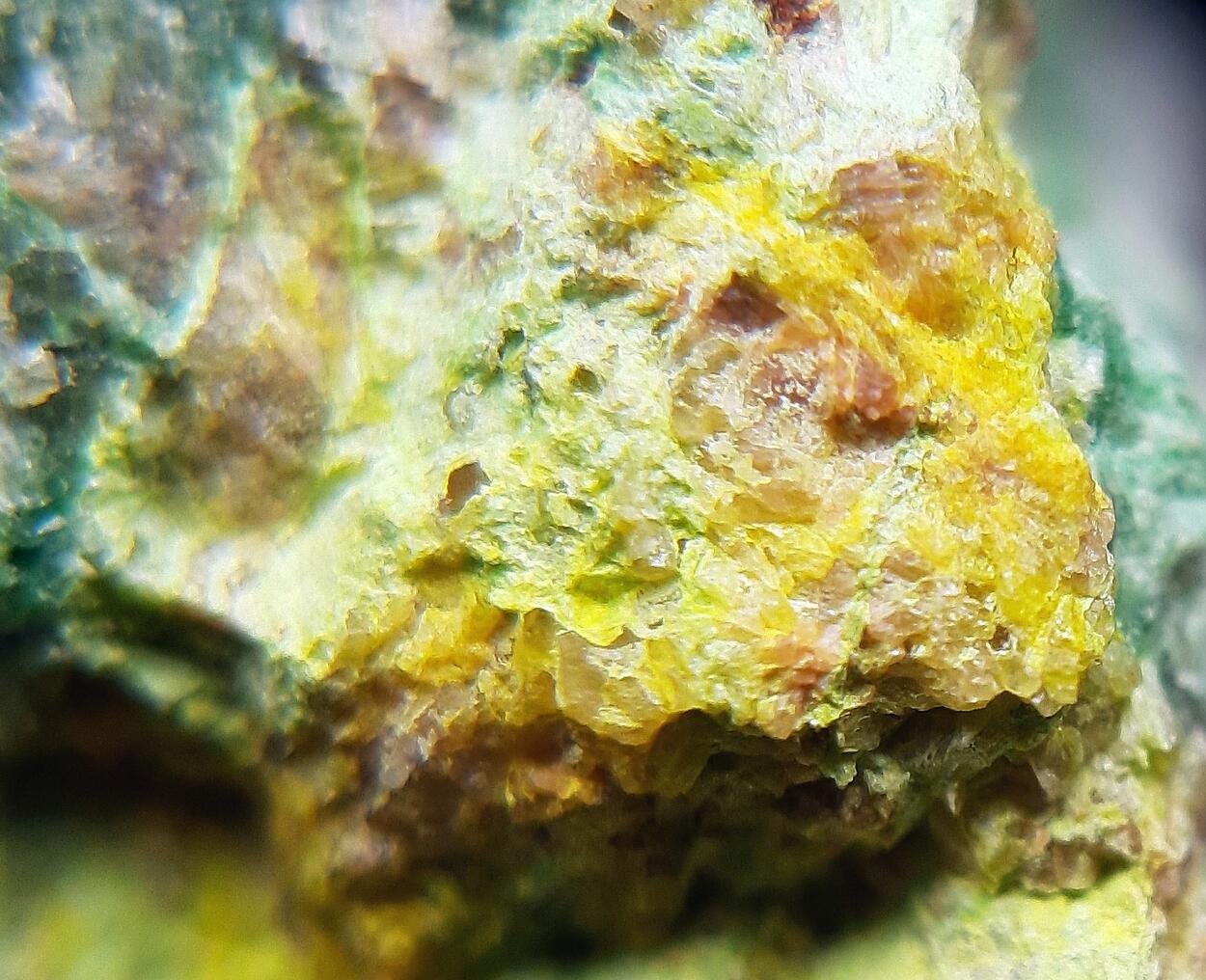 Parsonsite Metatorbernite & Autunite
