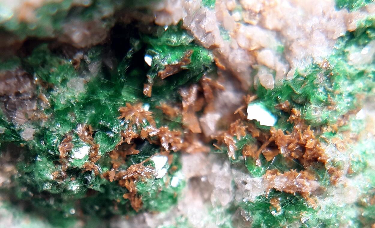 Parsonsite Metatorbernite & Autunite