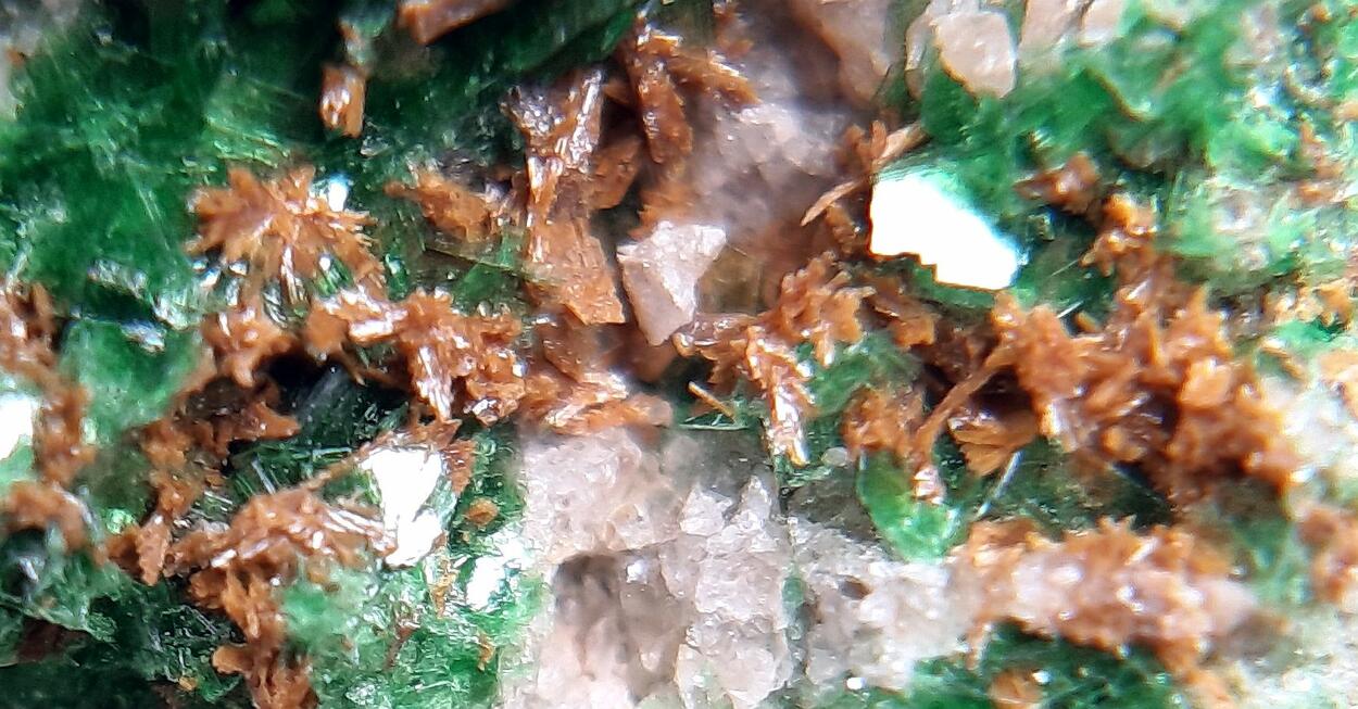 Parsonsite Metatorbernite & Autunite