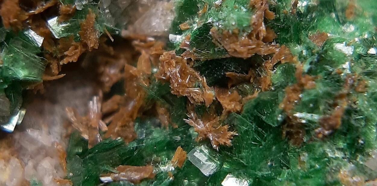 Parsonsite Metatorbernite & Autunite