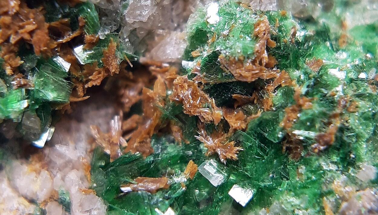 Parsonsite Metatorbernite & Autunite