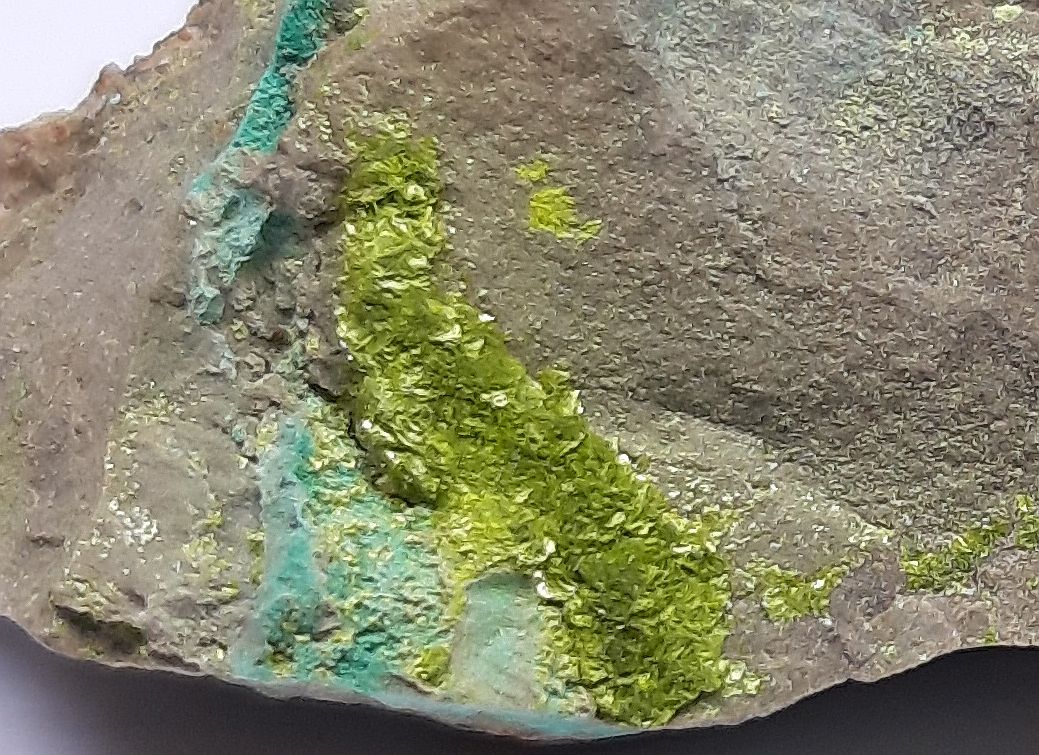 Volborthite