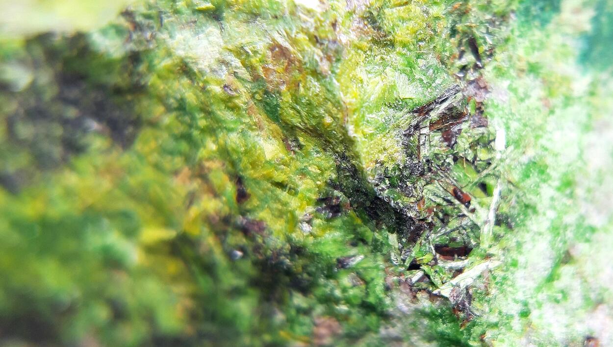 Vandenbrandeite & Cuprosklodowskite