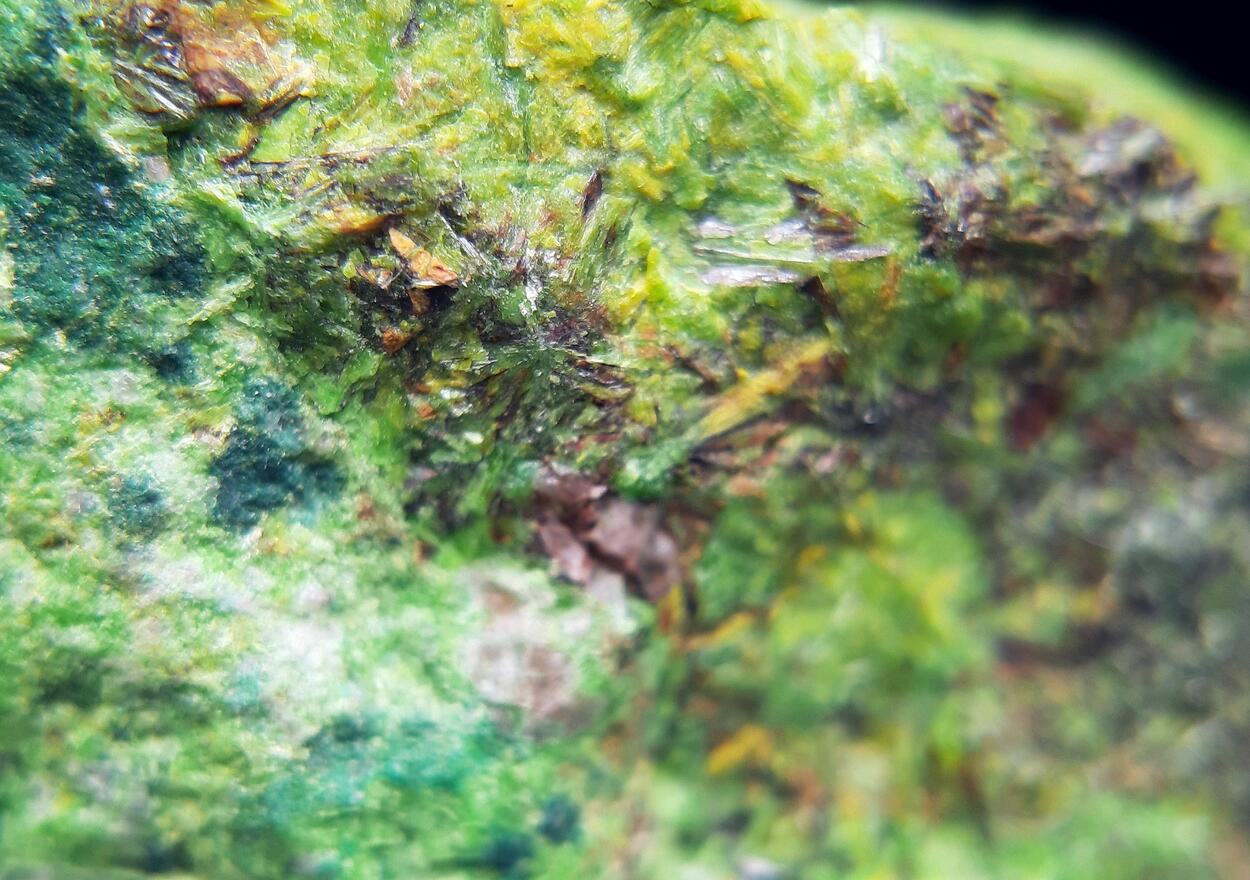 Vandenbrandeite & Cuprosklodowskite