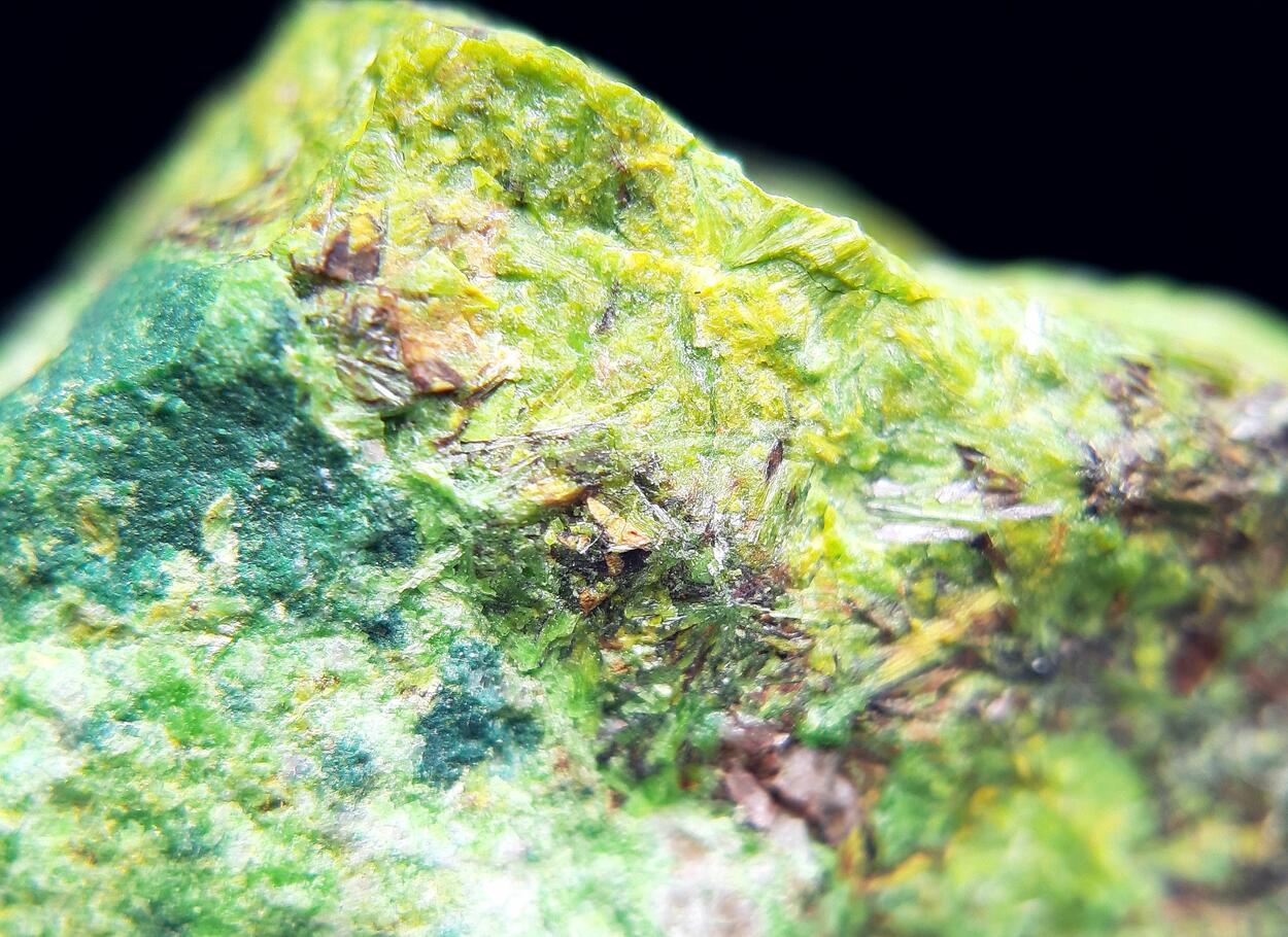 Vandenbrandeite & Cuprosklodowskite