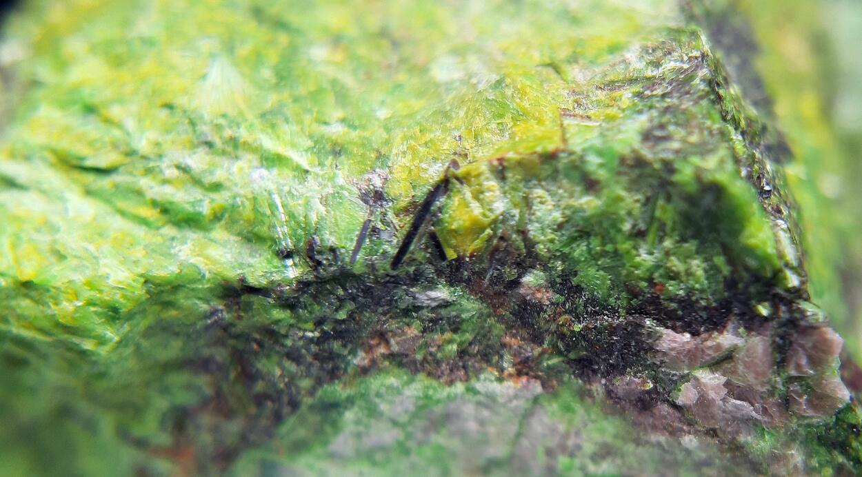 Vandenbrandeite & Cuprosklodowskite