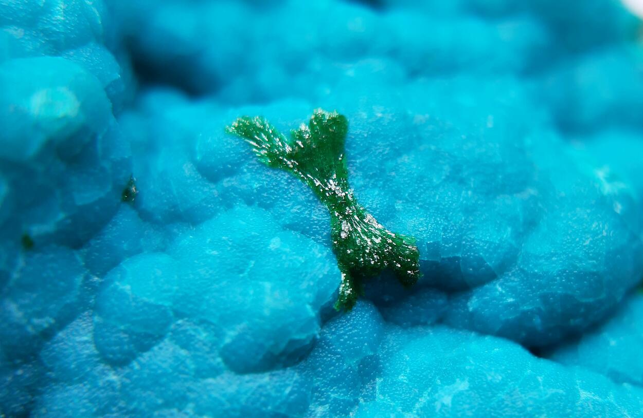 Chrysocolla Malachite & Plancheite