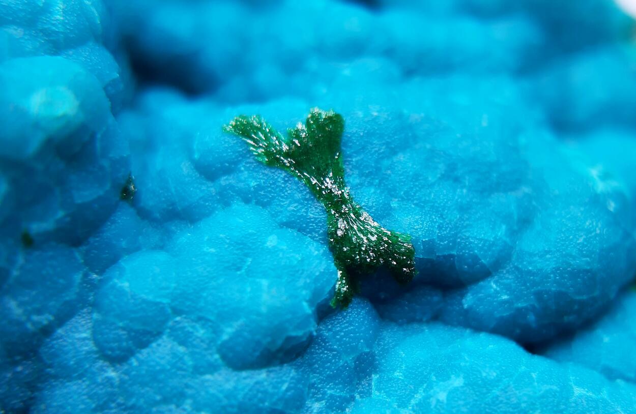 Chrysocolla Malachite & Plancheite