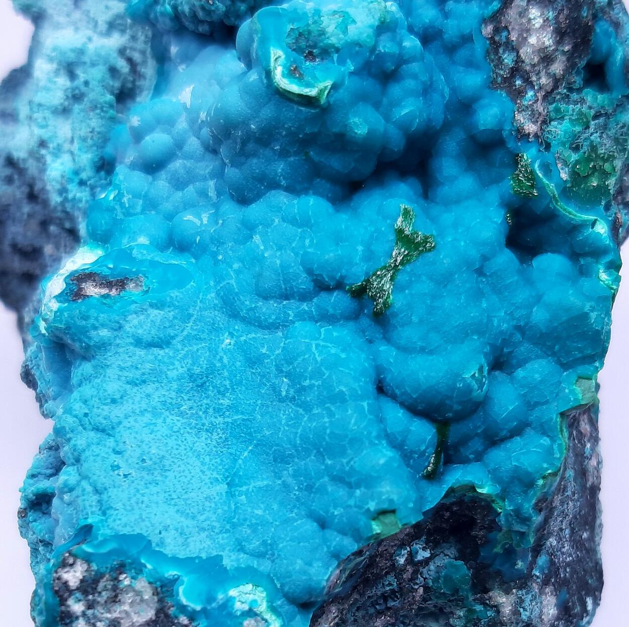 Chrysocolla Malachite & Plancheite