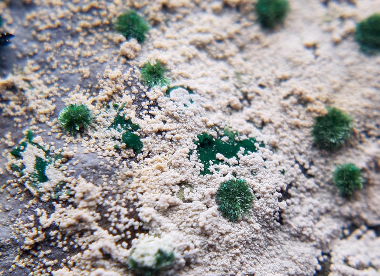 Atacamite & Halloysite