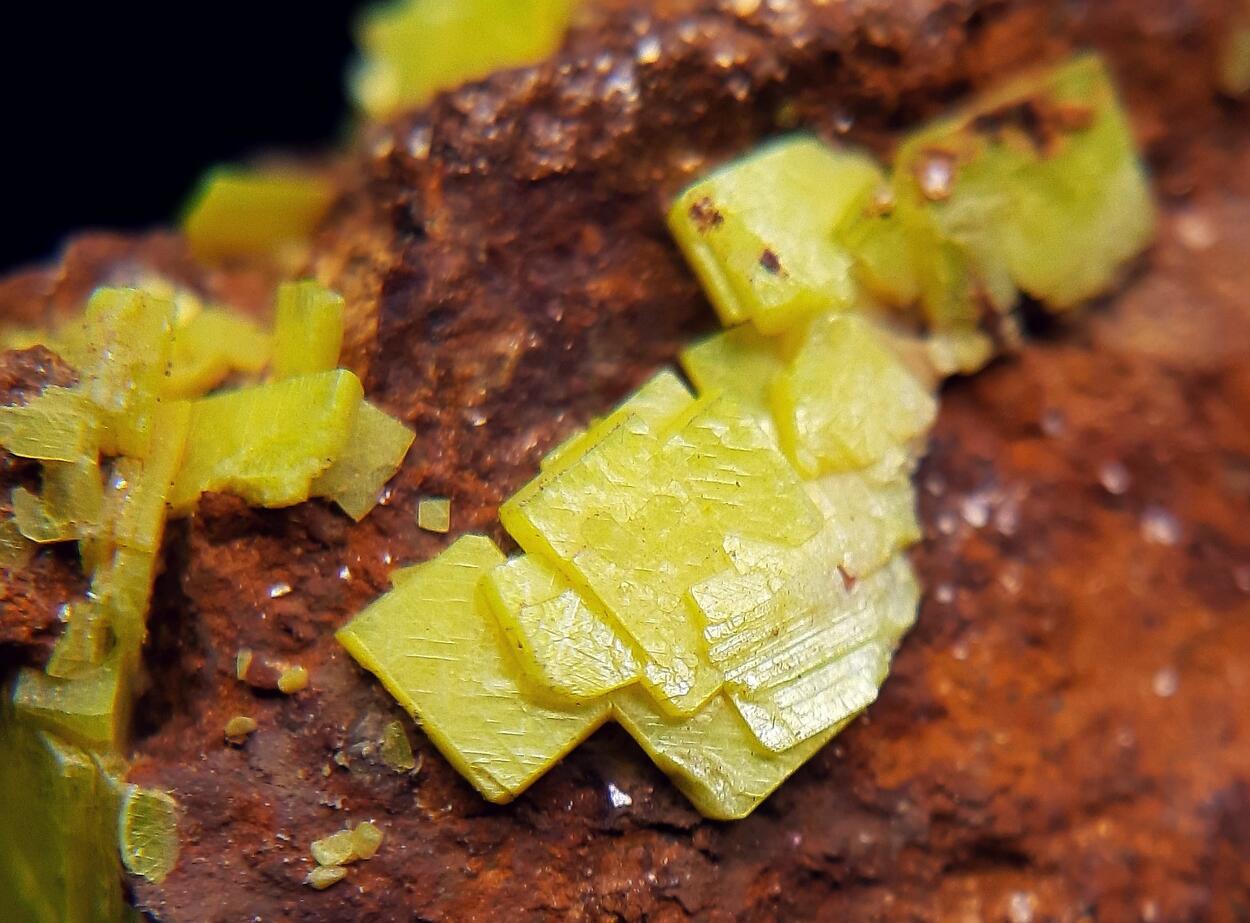 Autunite