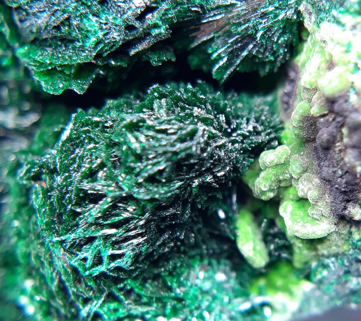 Olivenite Duftite & Malachite