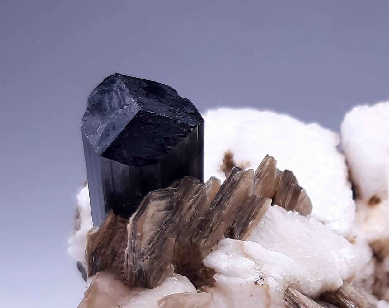 Schorl Albite & Muscovite