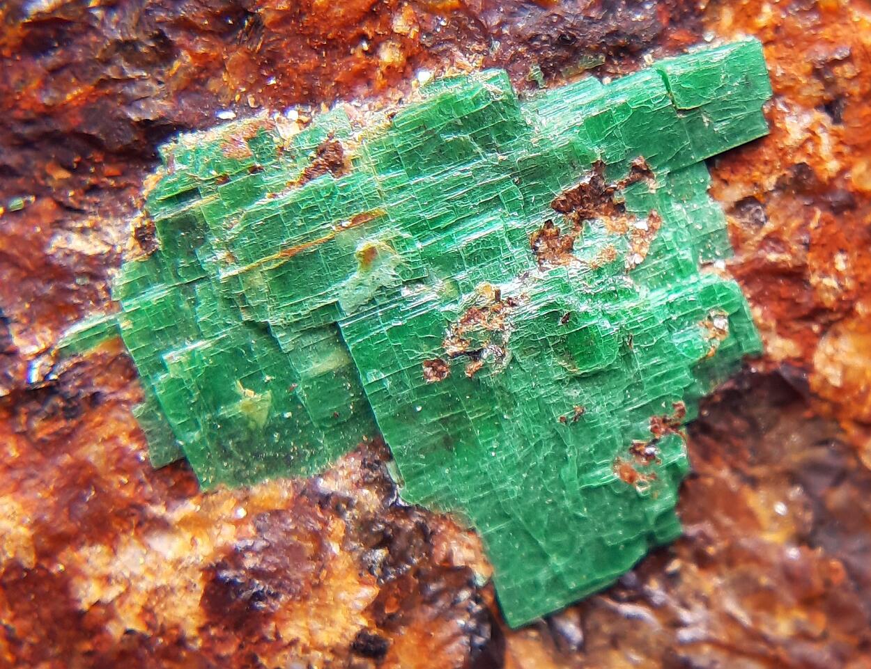 Torbernite