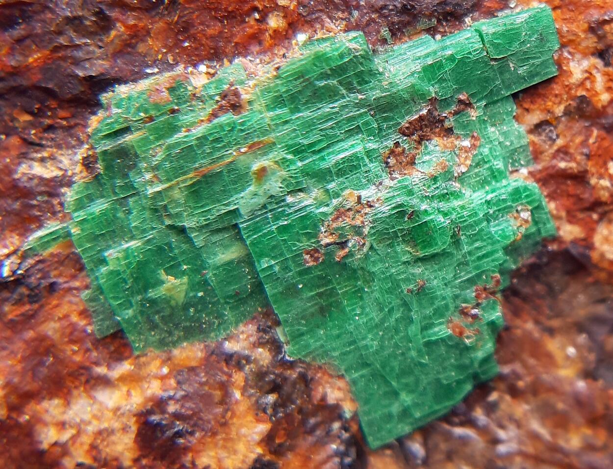 Torbernite