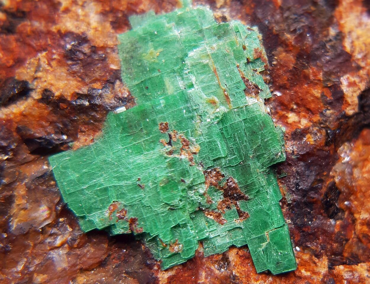 Torbernite