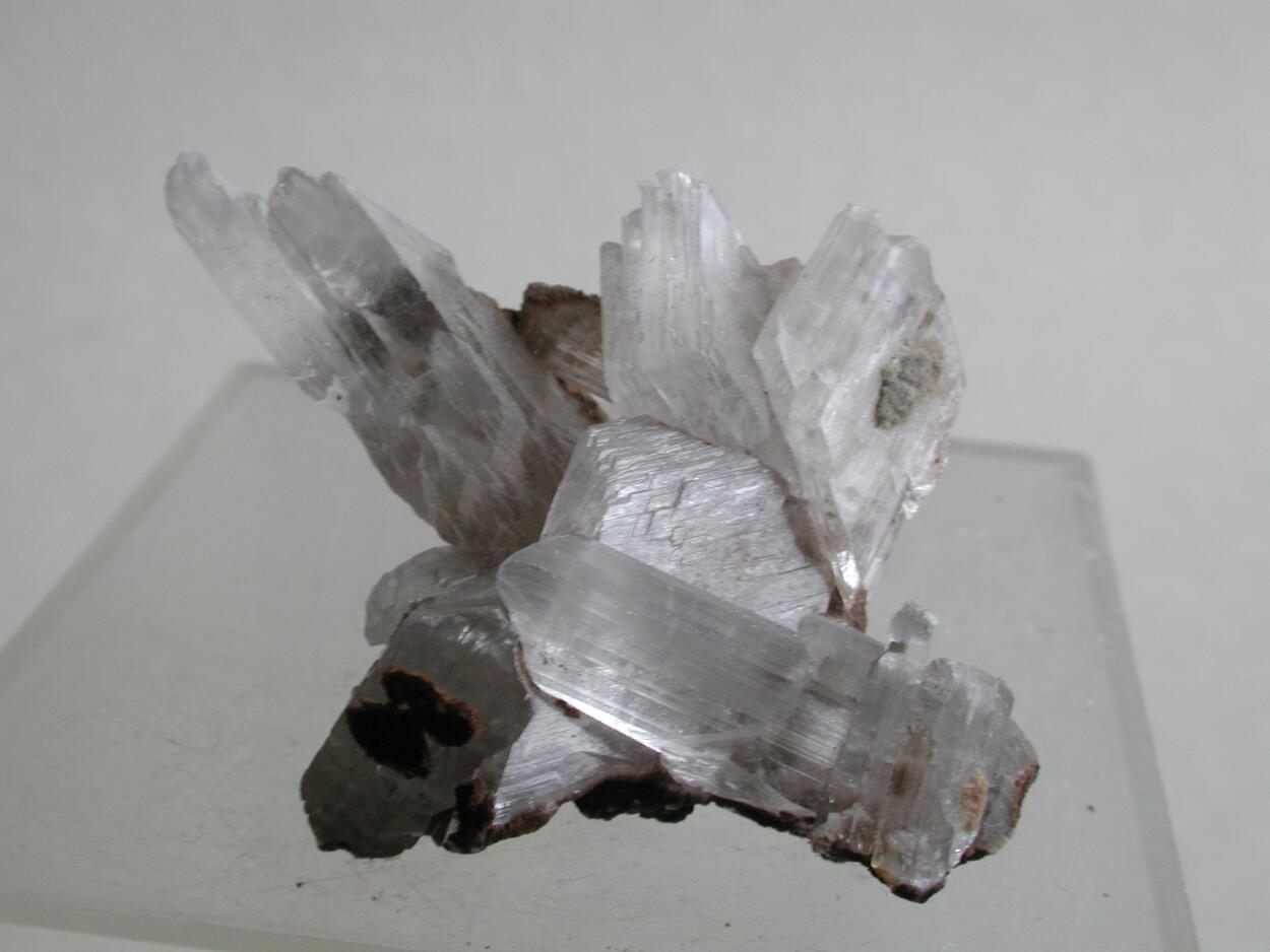 Selenite