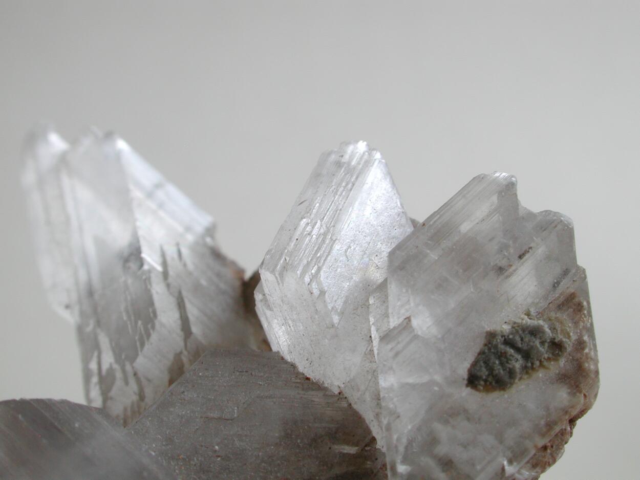 Selenite