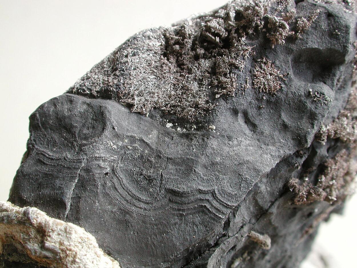 Native Silver On Native Arsenic