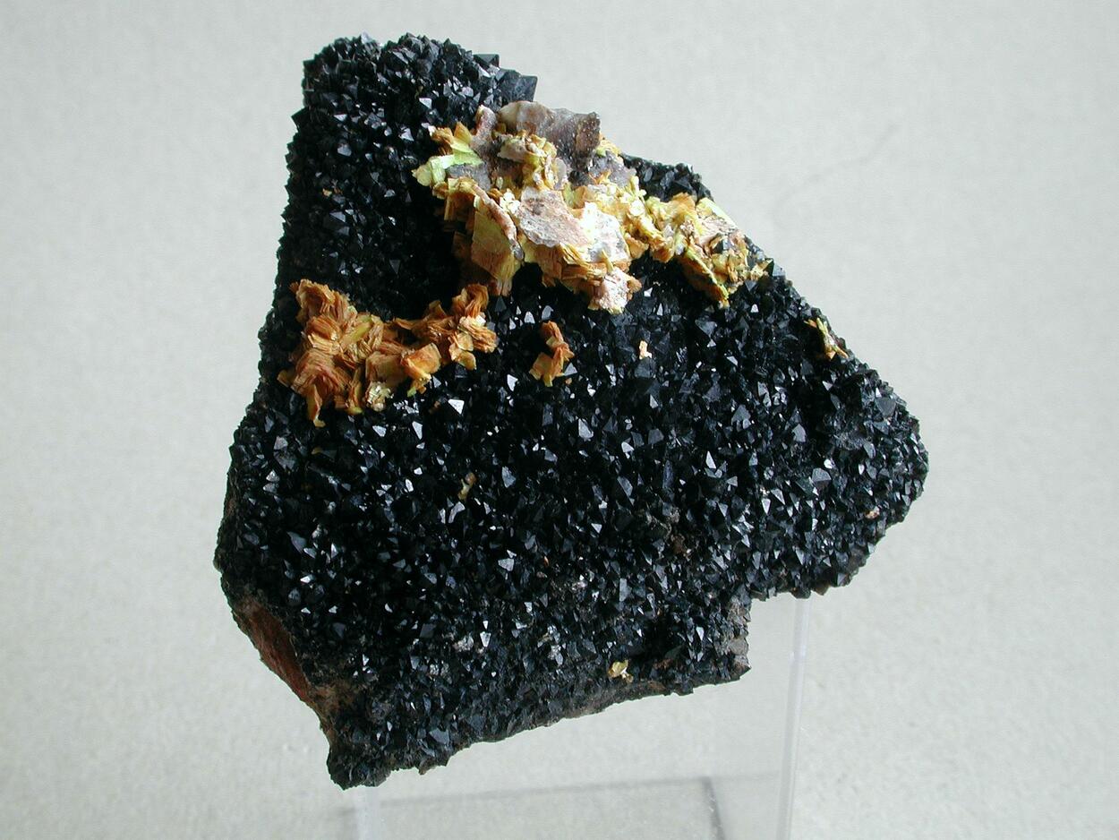 Uranocircite