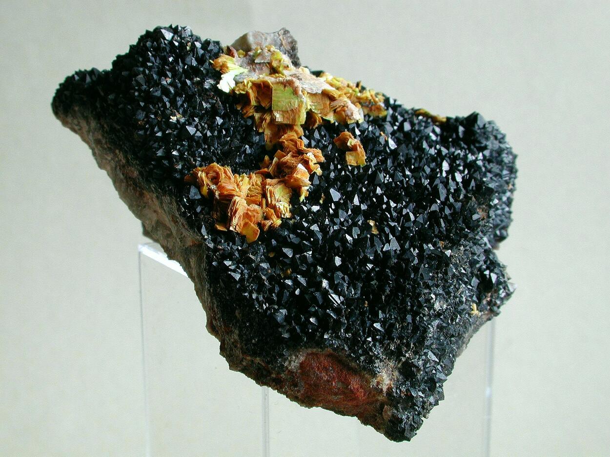 Uranocircite