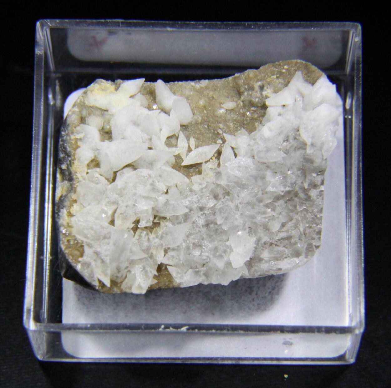 Whewellite
