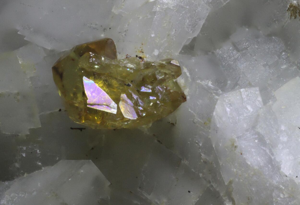 Monazite-(Ce)