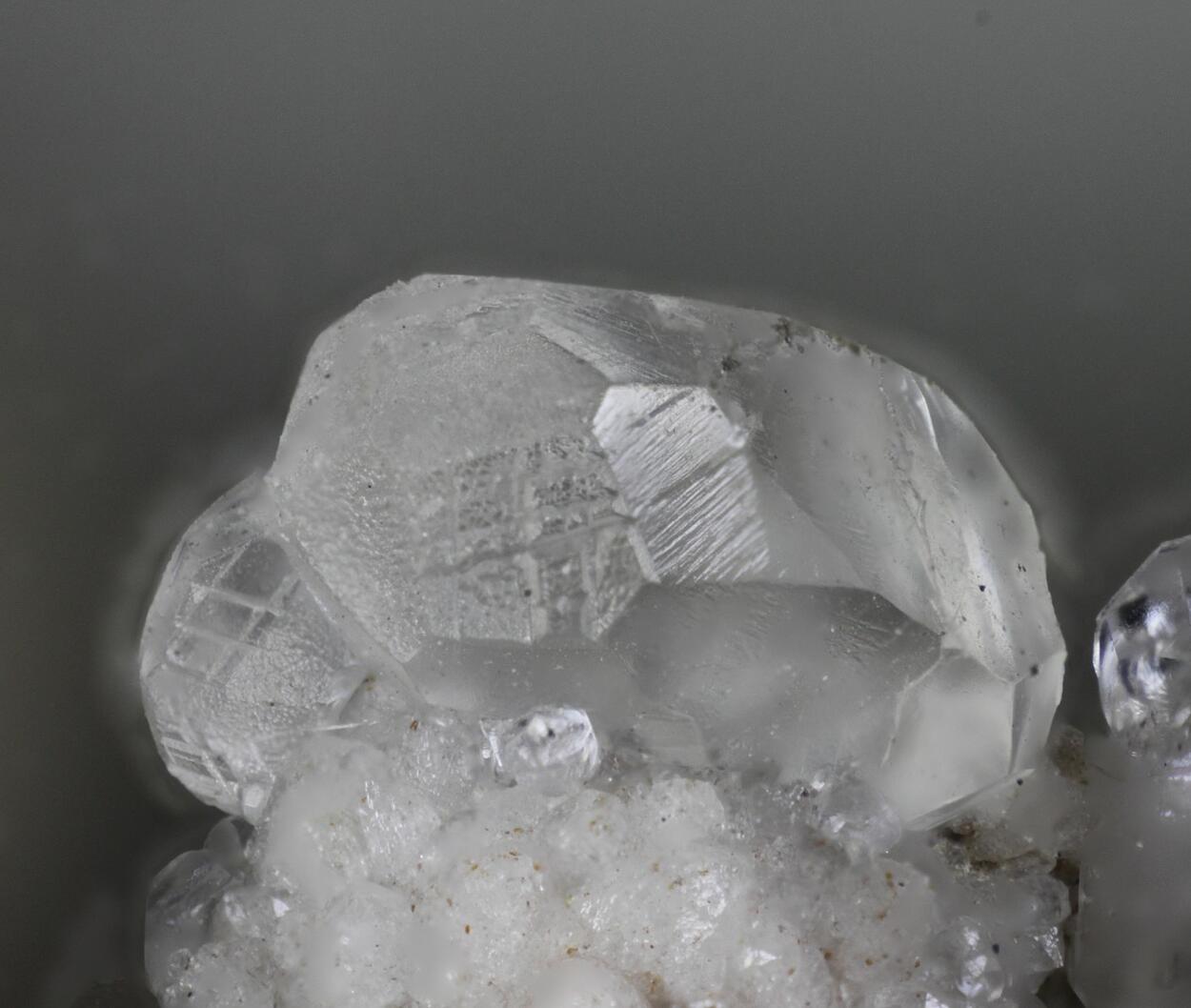 Colemanite