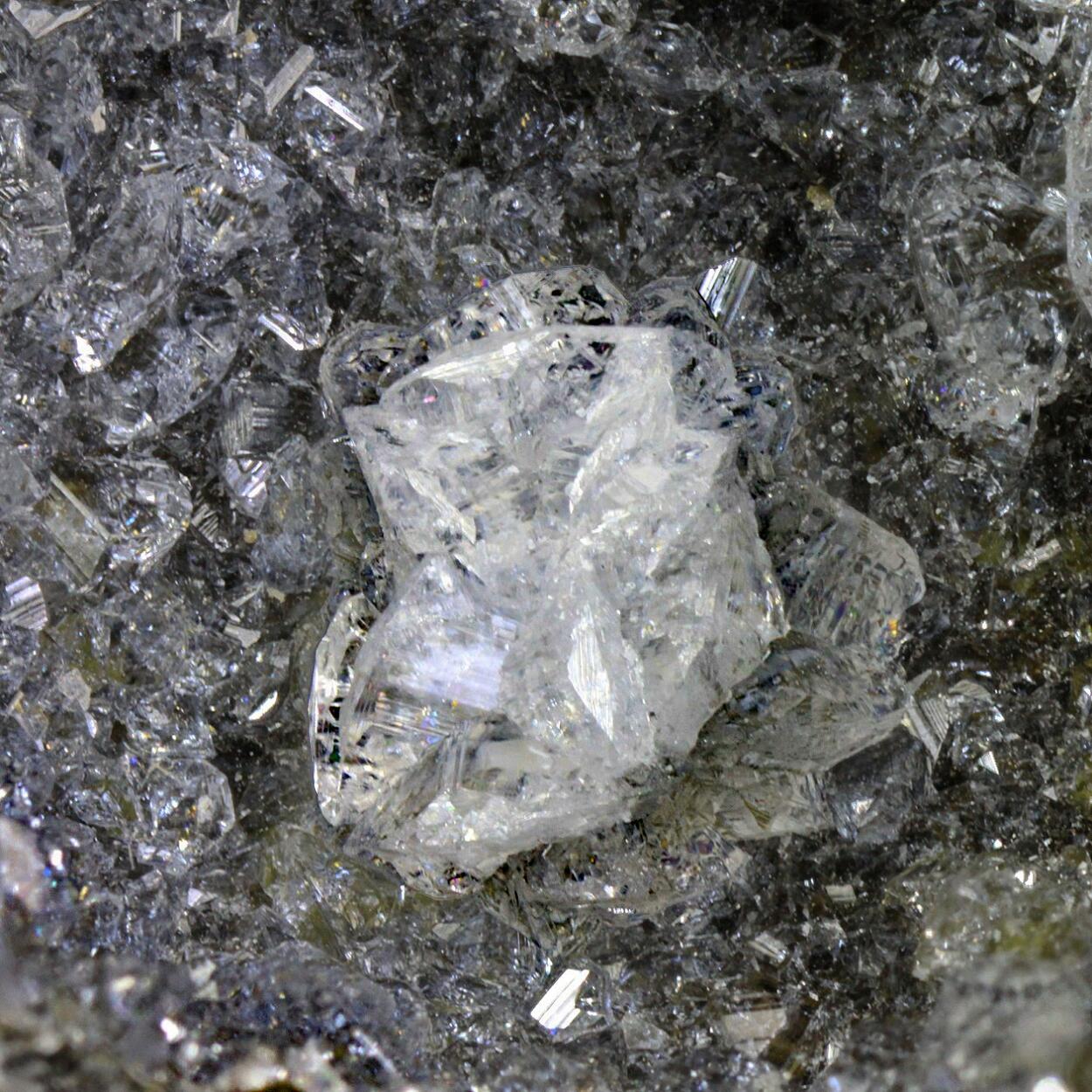 Phacolite