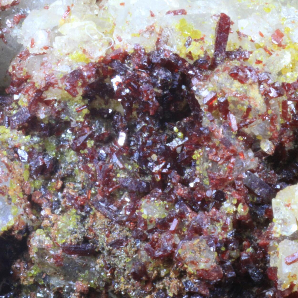 Sewardite & Carminite