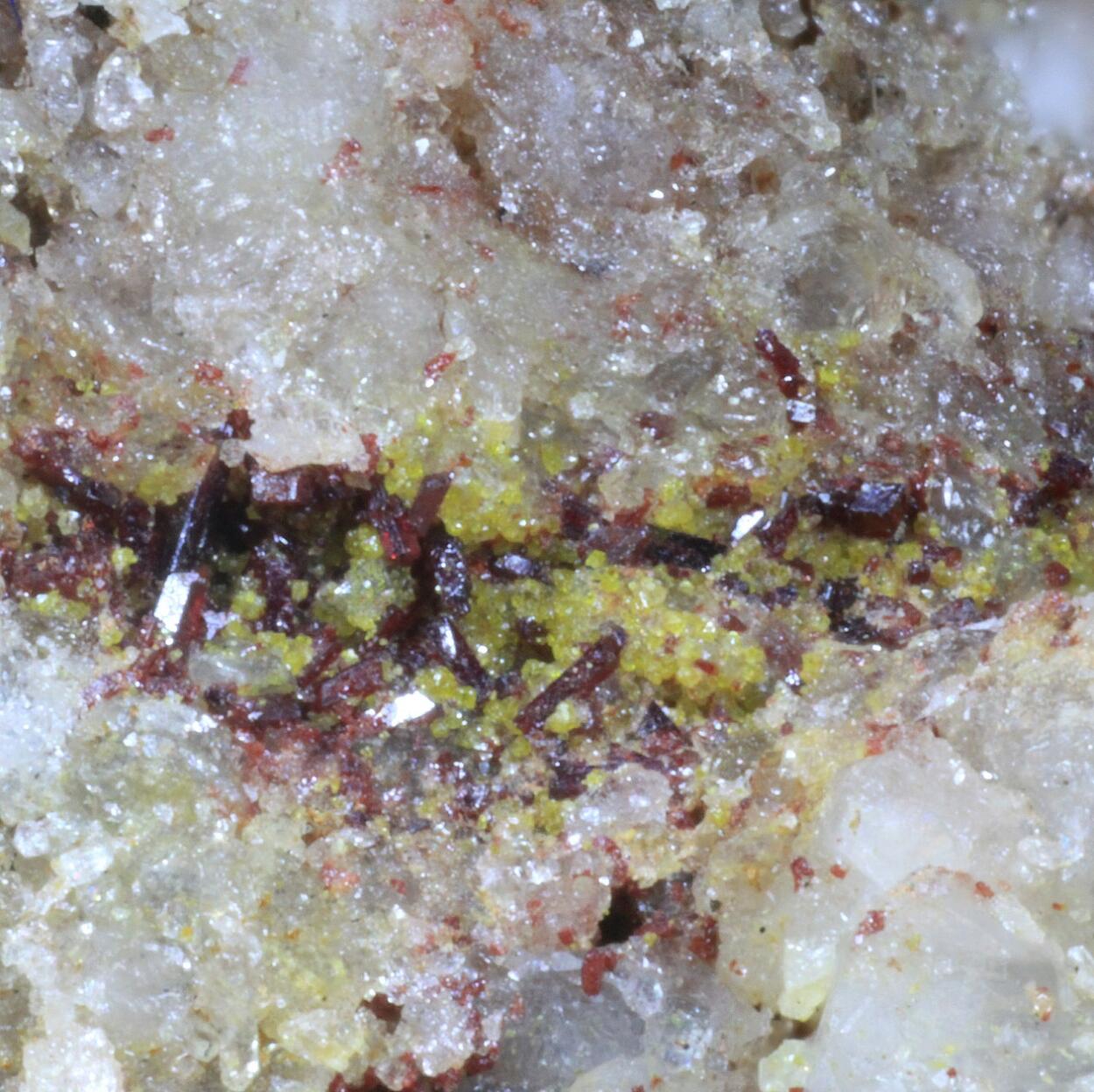 Sewardite & Carminite