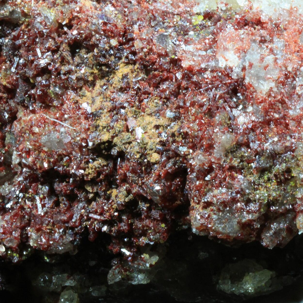 Sewardite & Carminite