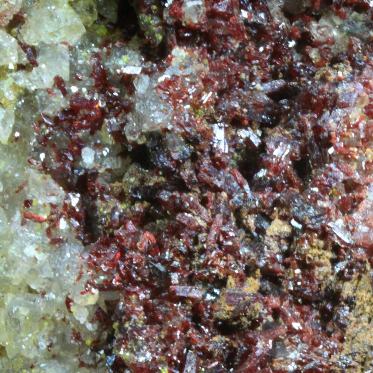 Sewardite & Carminite