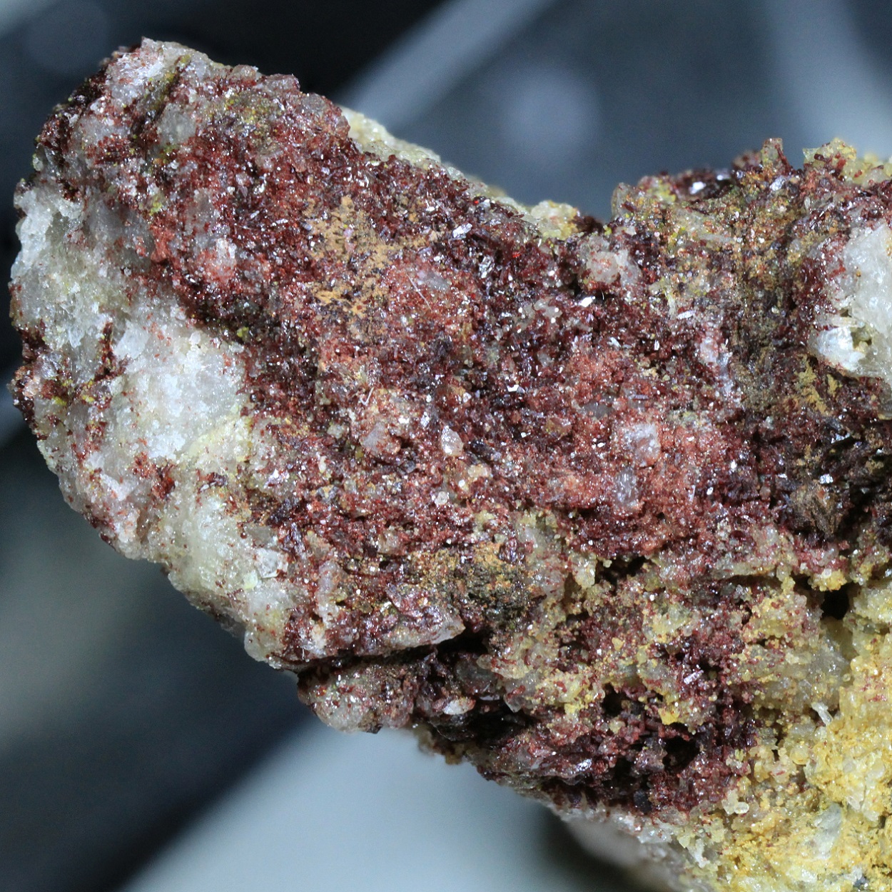 Sewardite & Carminite