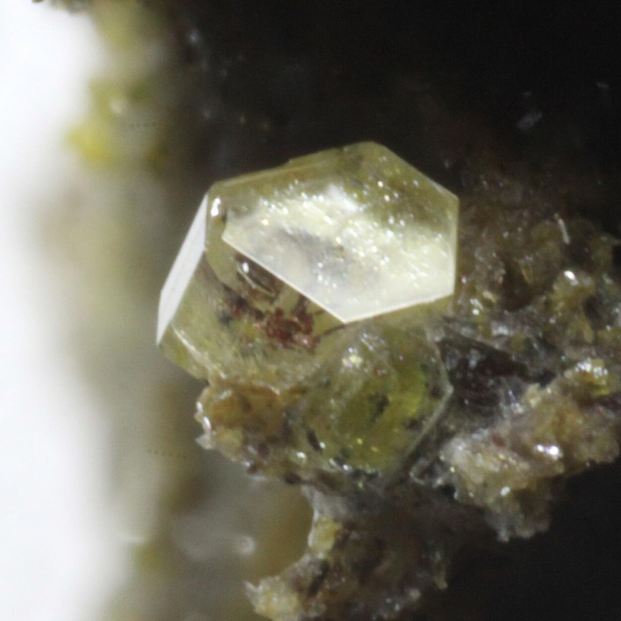 Roedderite