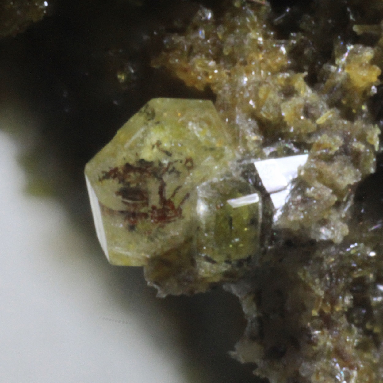 Roedderite