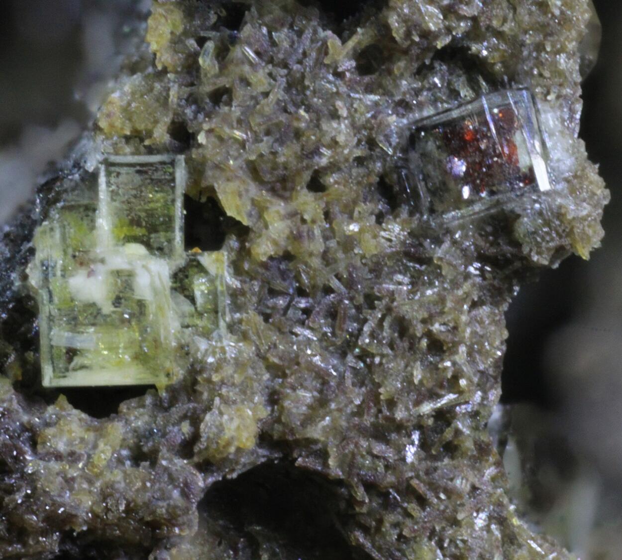 Roedderite