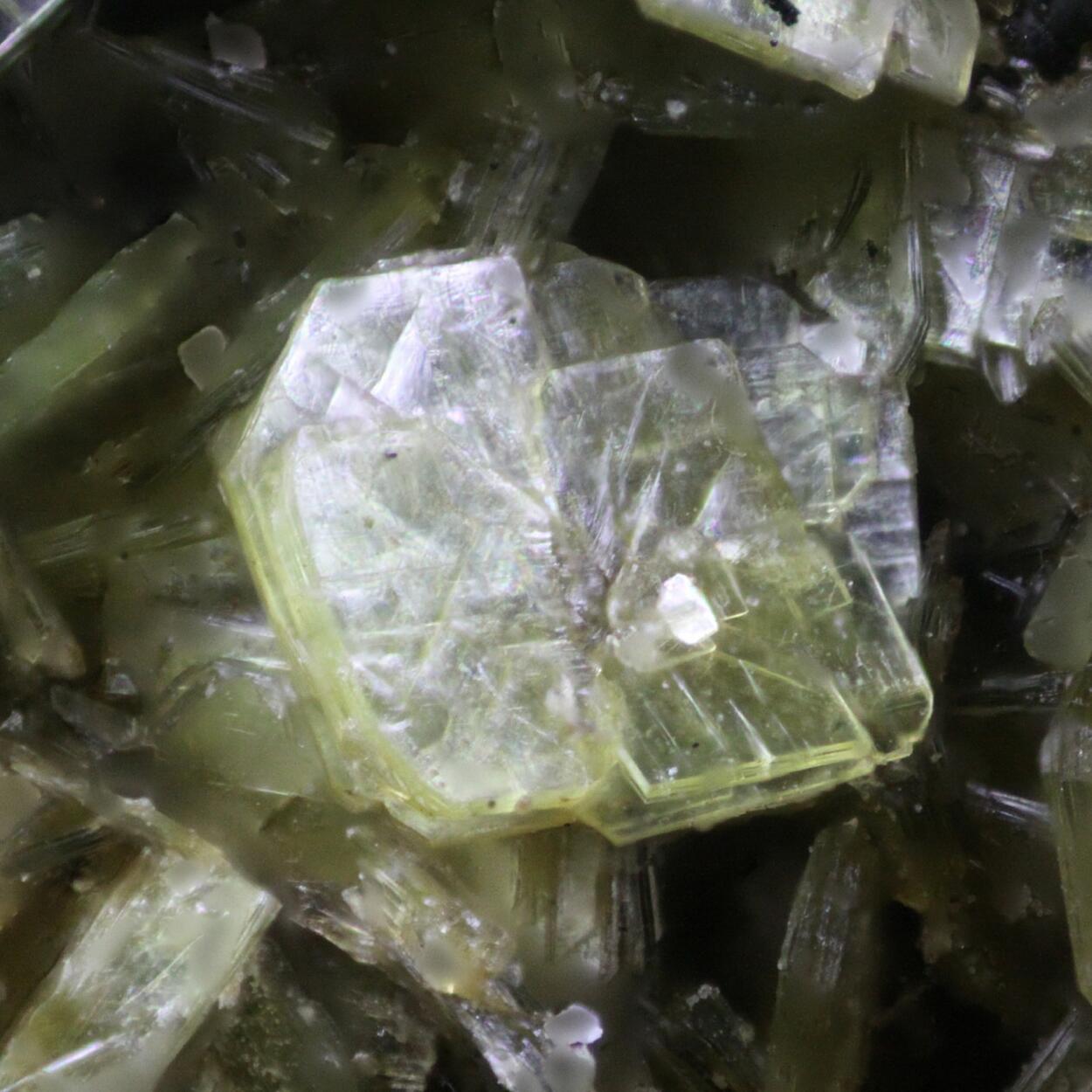 Autunite