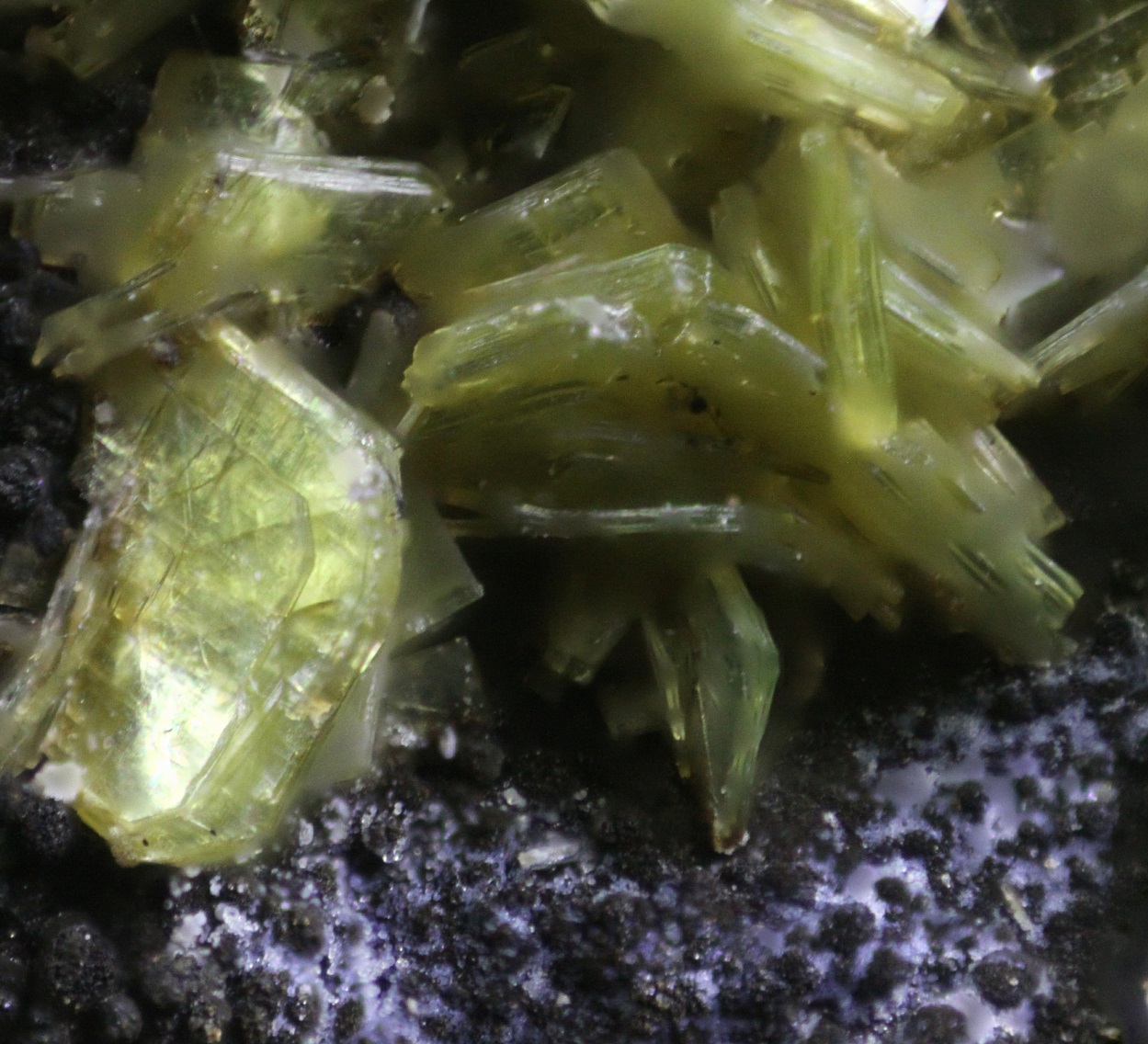Autunite