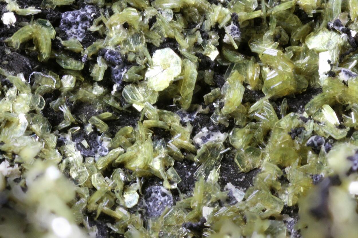 Autunite