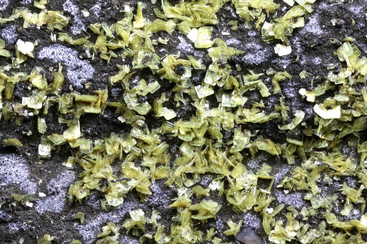 Autunite