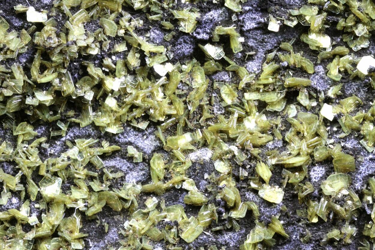 Autunite