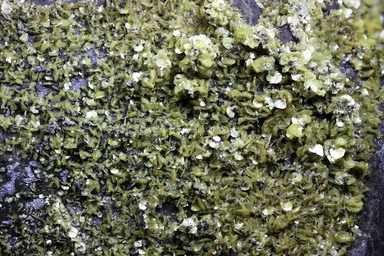 Autunite