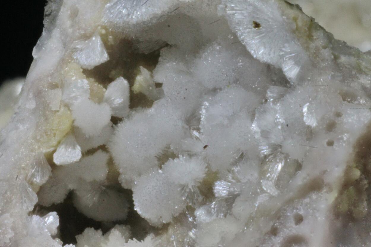 Carbonate-rich Hydroxylapatite