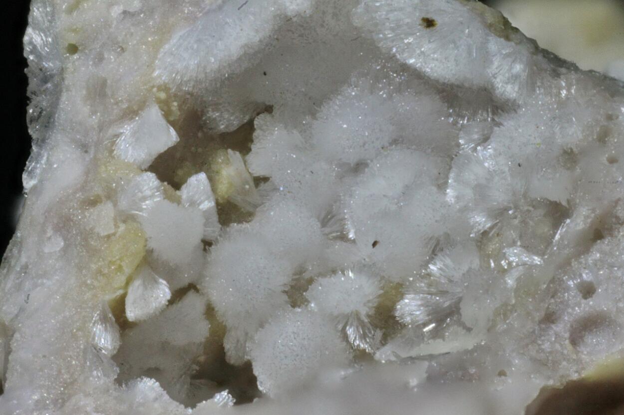 Carbonate-rich Hydroxylapatite