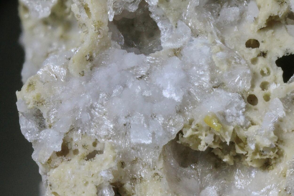 Carbonate-rich Hydroxylapatite